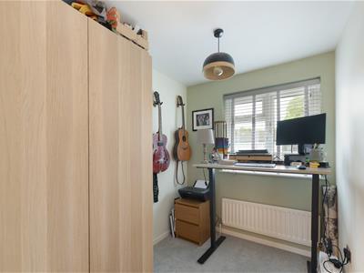Picture 13